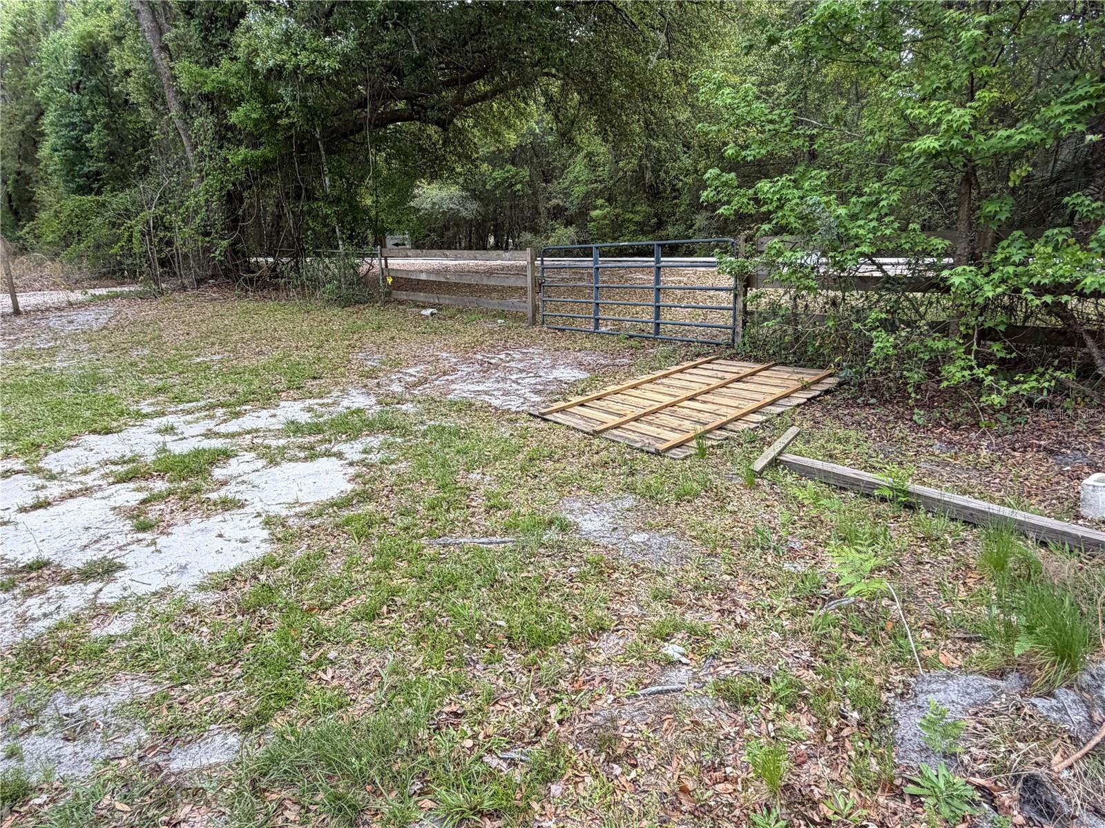 10033 SW COUNTY ROAD 225, STARKE, FL — photo 26