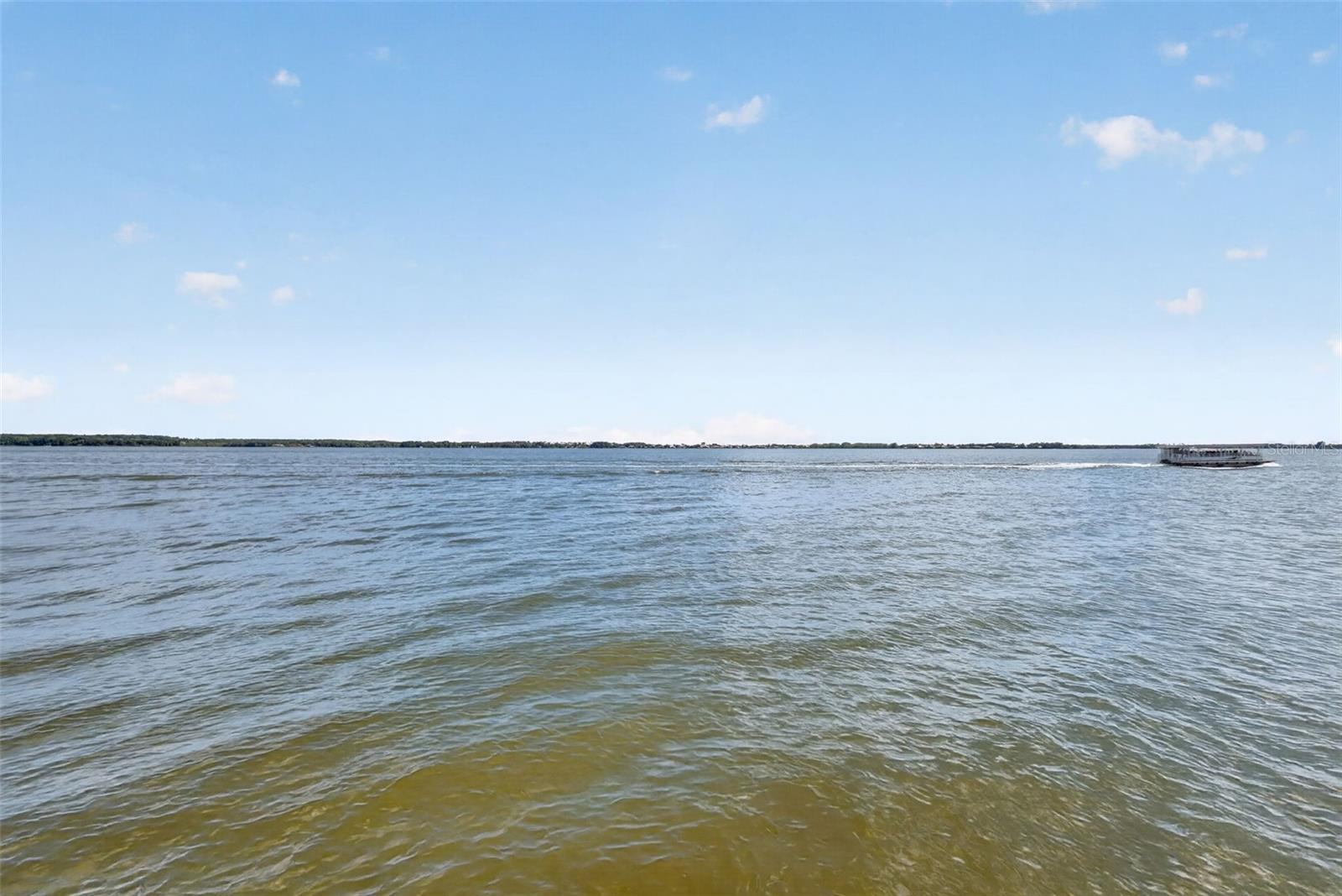 1735 LAKESHORE DR, MOUNT DORA, FL — photo 115