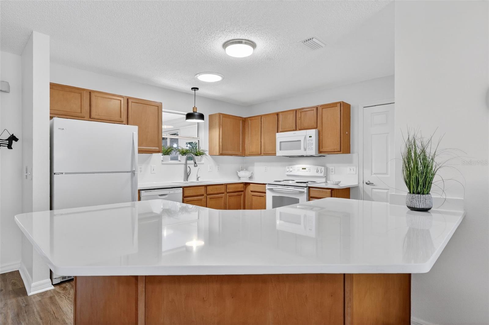 1539 HOLLYBERRY PL, THE VILLAGES, FL — photo 8