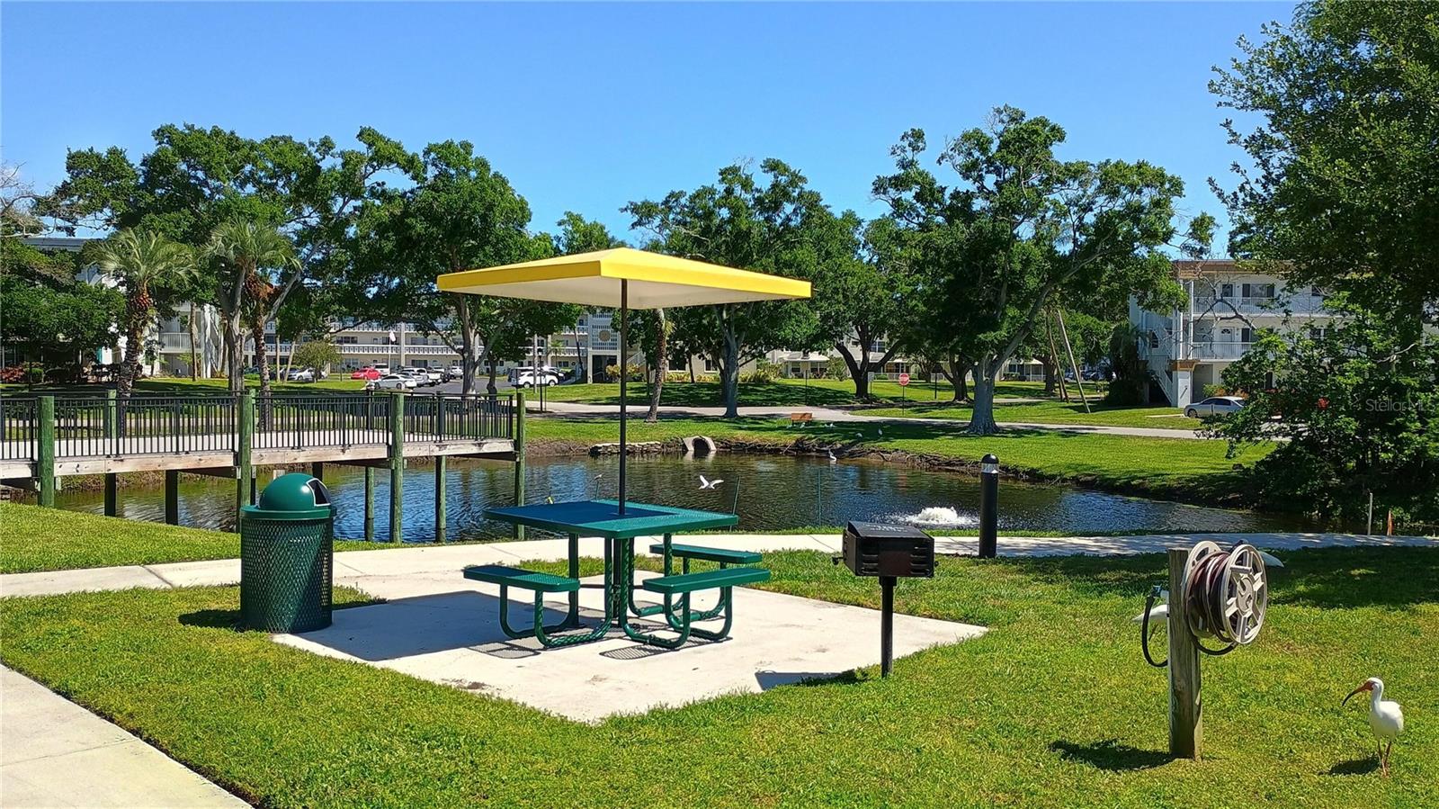 2341 HAITIAN DR #55, CLEARWATER, FL — photo 31