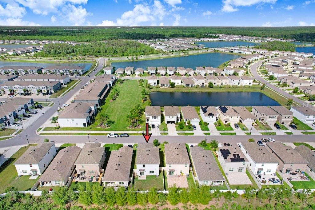 3044 SUNCOAST PLAINS DR, ODESSA, FL — photo 36