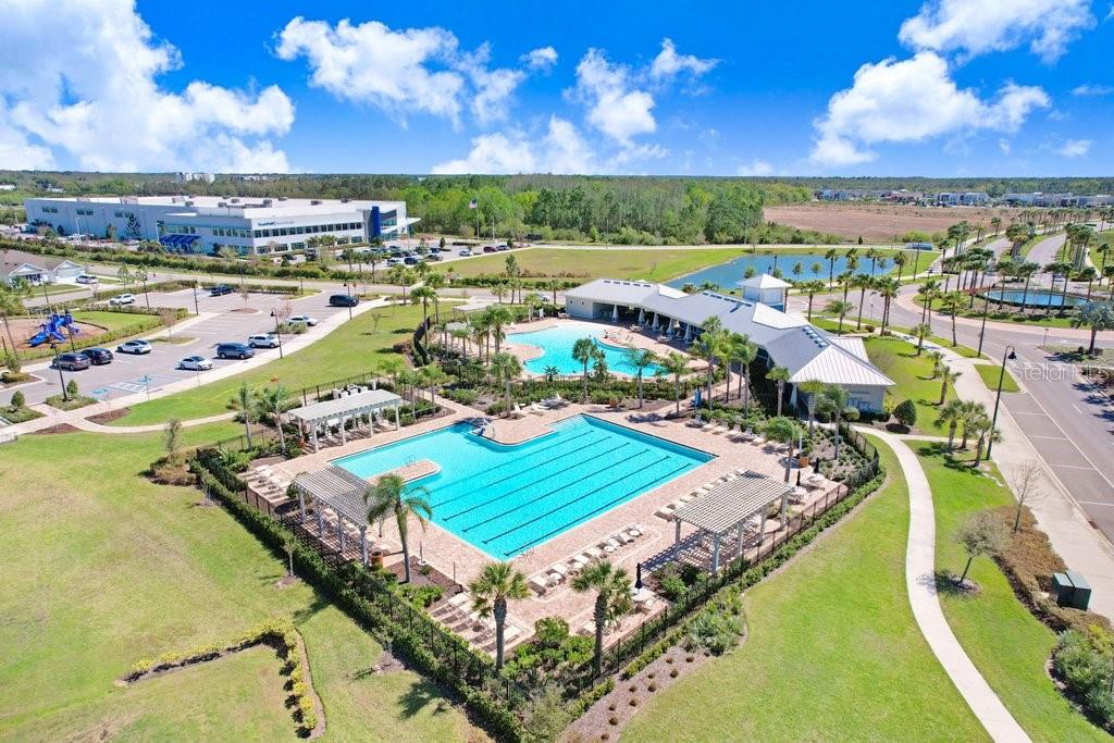 3044 SUNCOAST PLAINS DR, ODESSA, FL — photo 41