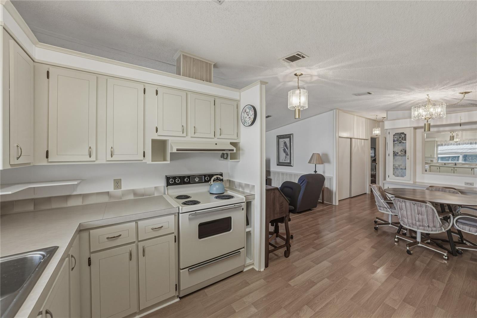 35116 COLONY HILLS DR, ZEPHYRHILLS, FL — photo 19
