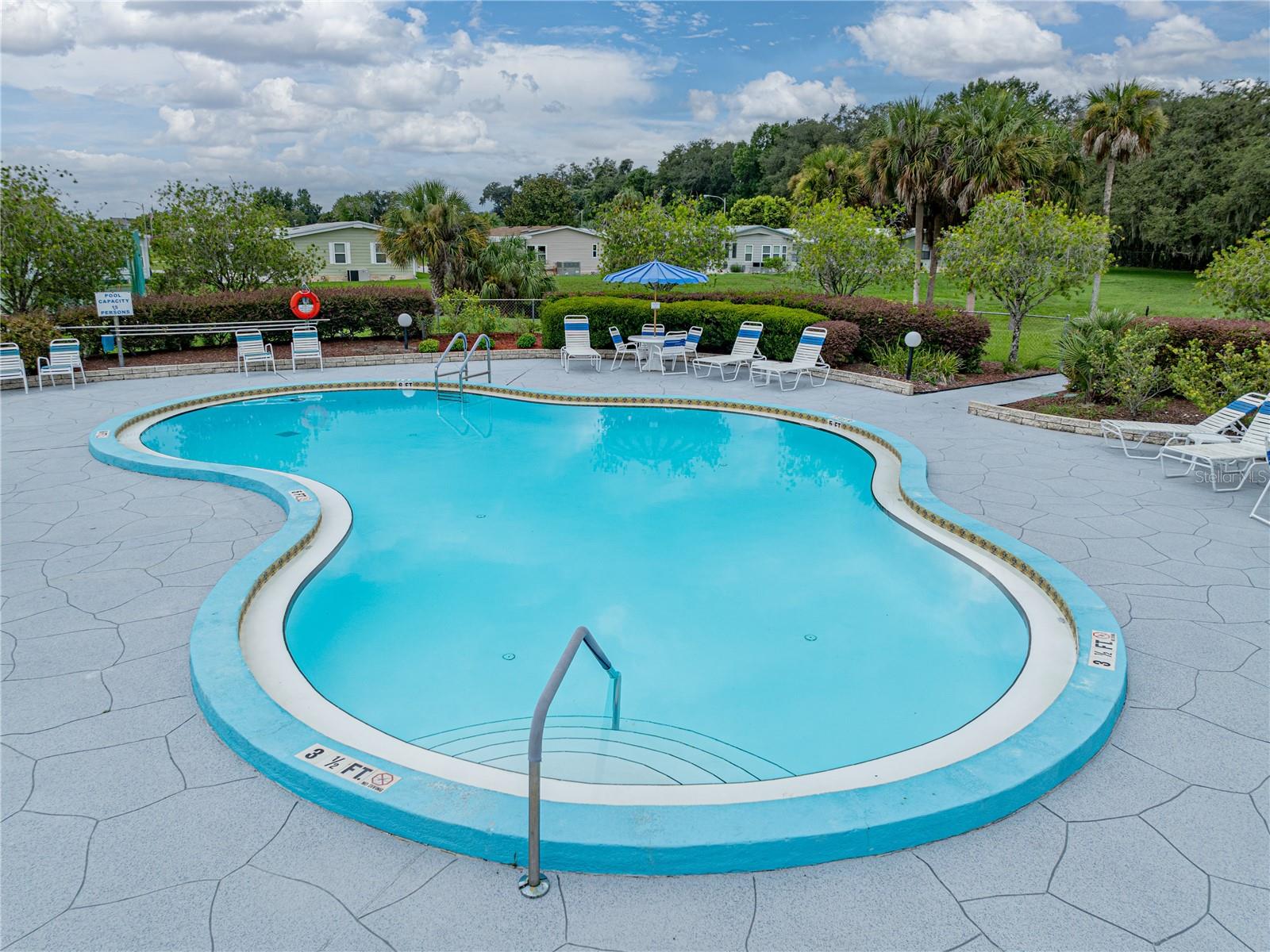 35116 COLONY HILLS DR, ZEPHYRHILLS, FL — photo 33