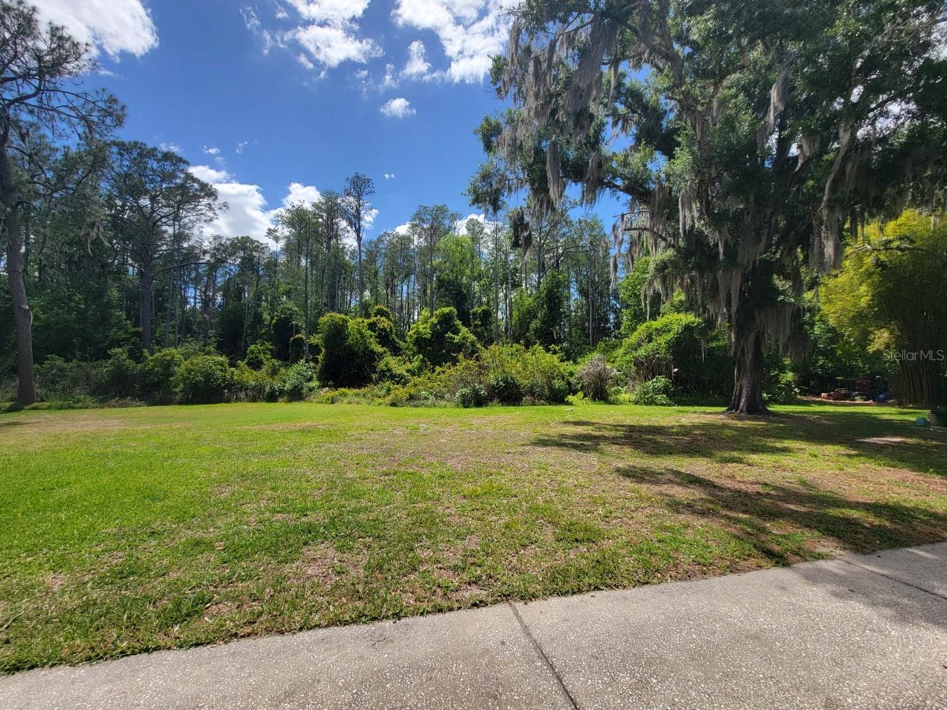 1761 CUPECOY CIR ## N-7, LUTZ, FL — photo 5