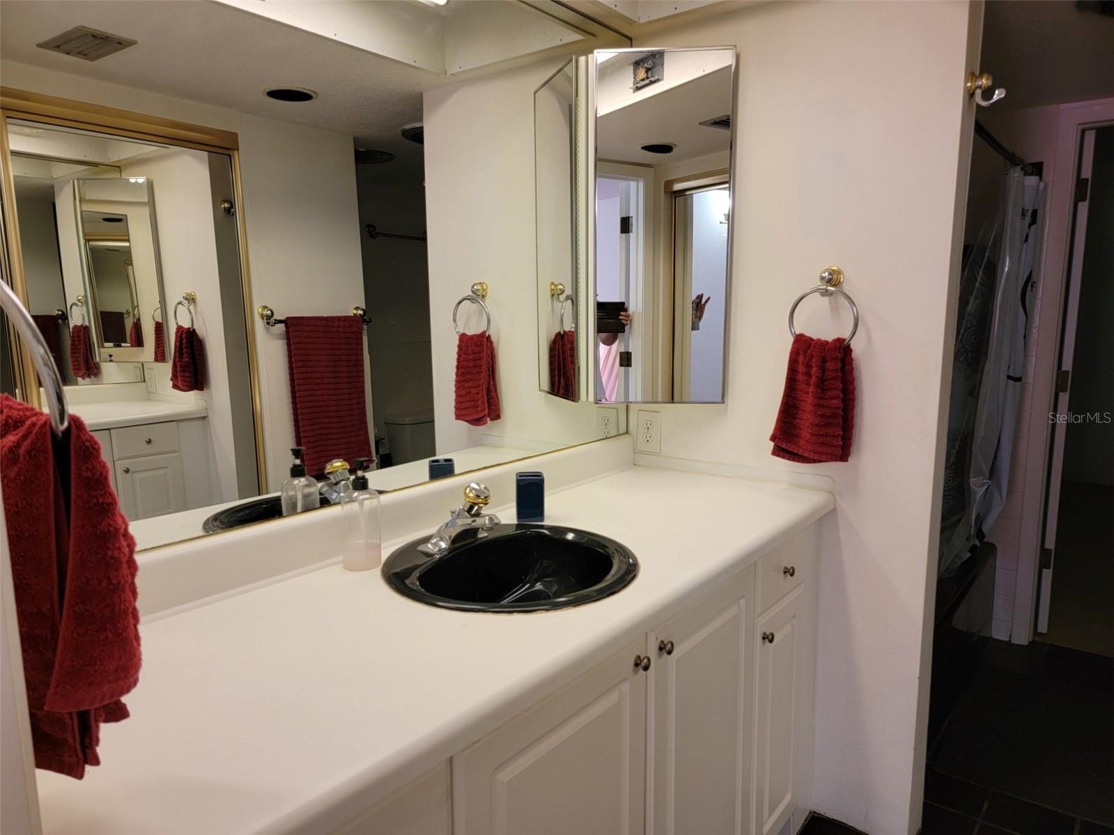 1761 CUPECOY CIR ## N-7, LUTZ, FL — photo 15