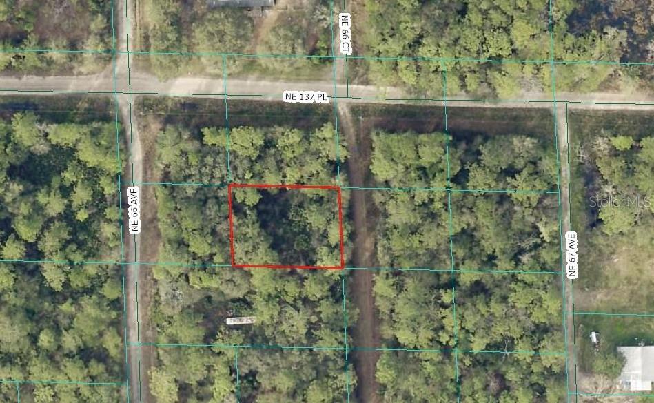 00 NE 66TH CT, CITRA, FL — photo 2