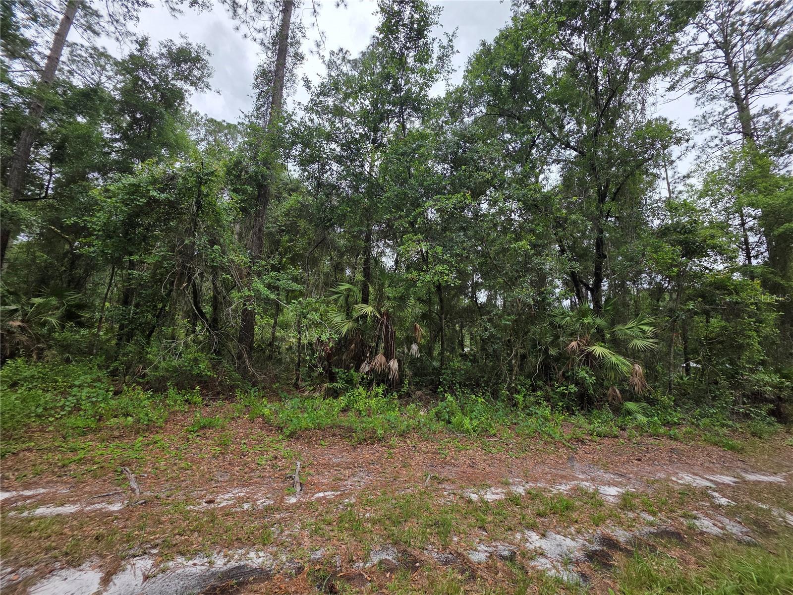 00 NE 66TH CT, CITRA, FL — photo 4