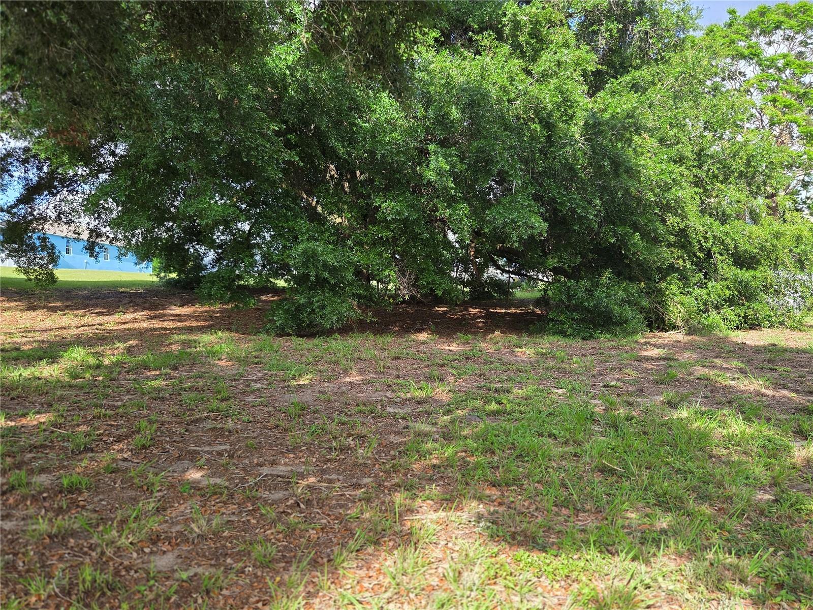 1408 WESTMORELAND AVE, EUSTIS, FL — photo 22