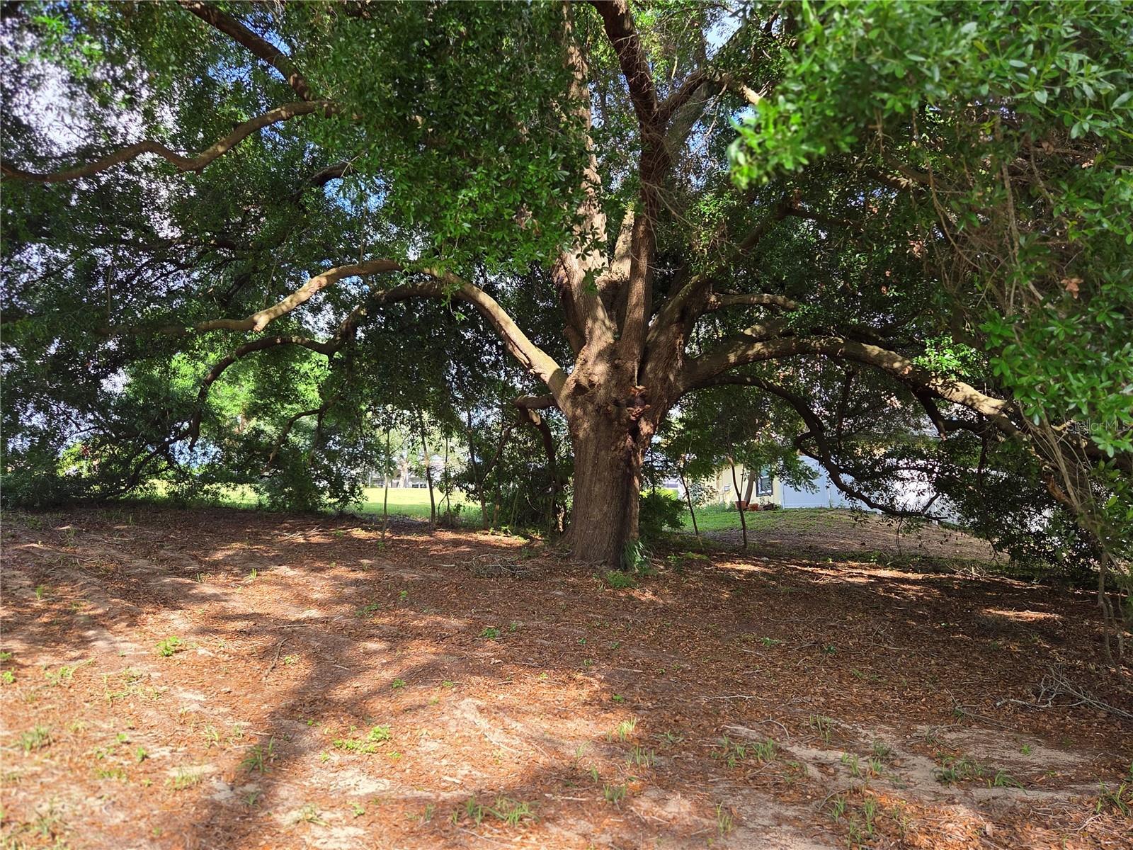1408 WESTMORELAND AVE, EUSTIS, FL — photo 25
