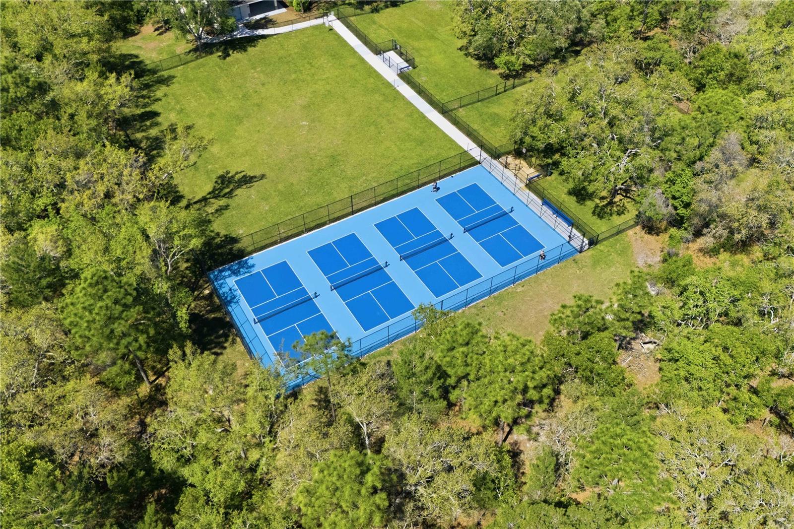 13755 COVEY RUN PL, SPRING HILL, FL — photo 40