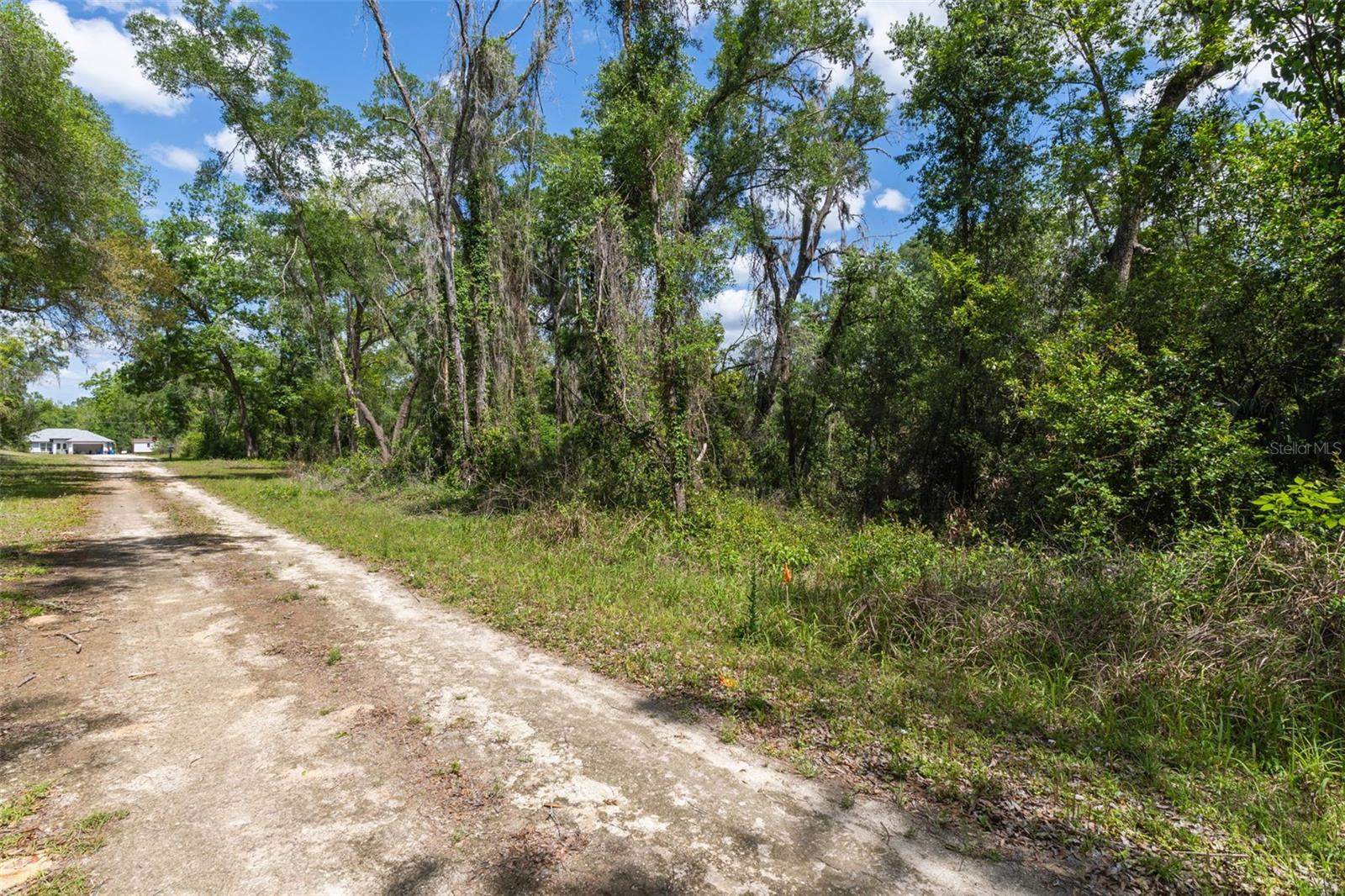 0 KENYON DR, WEBSTER, FL — photo 2
