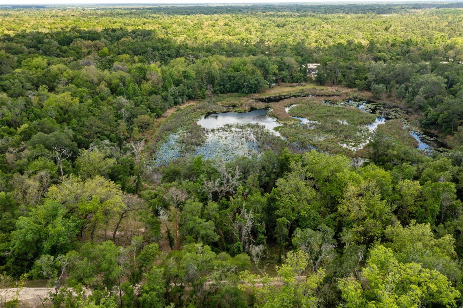 0 KENYON DR, WEBSTER, FL — photo 3