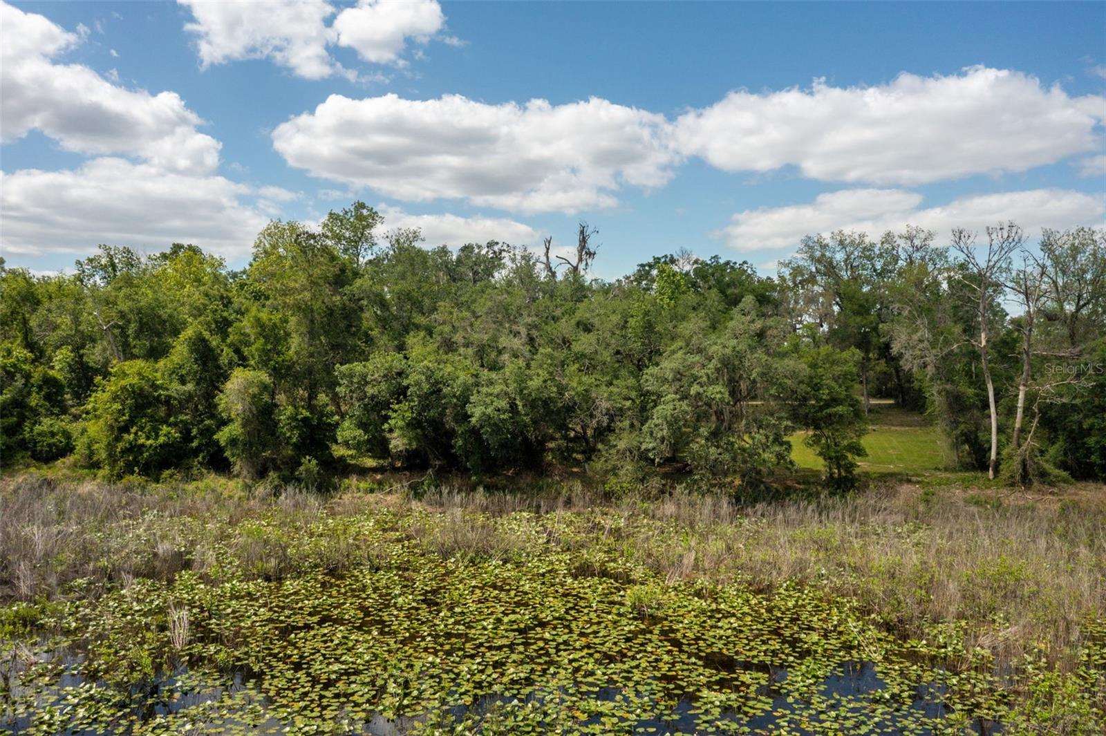 0 KENYON DR, WEBSTER, FL — photo 4