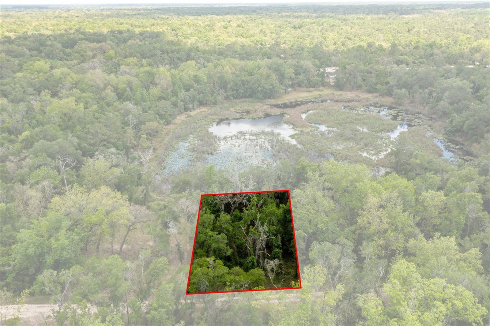 0 KENYON DR, WEBSTER, FL — photo 8