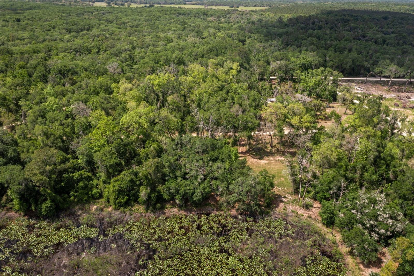0 KENYON DR, WEBSTER, FL — photo 9