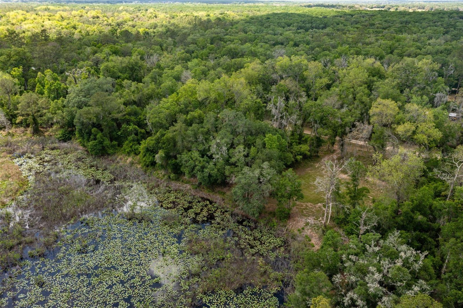 0 KENYON DR, WEBSTER, FL — photo 10