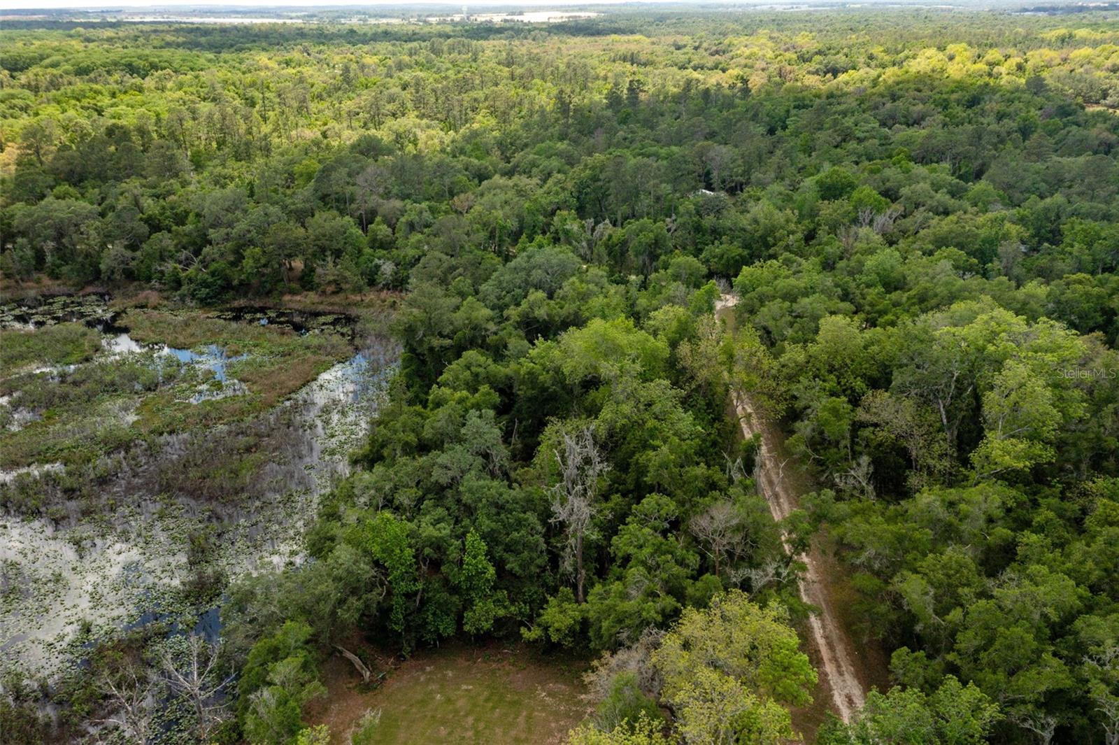 0 KENYON DR, WEBSTER, FL — photo 11