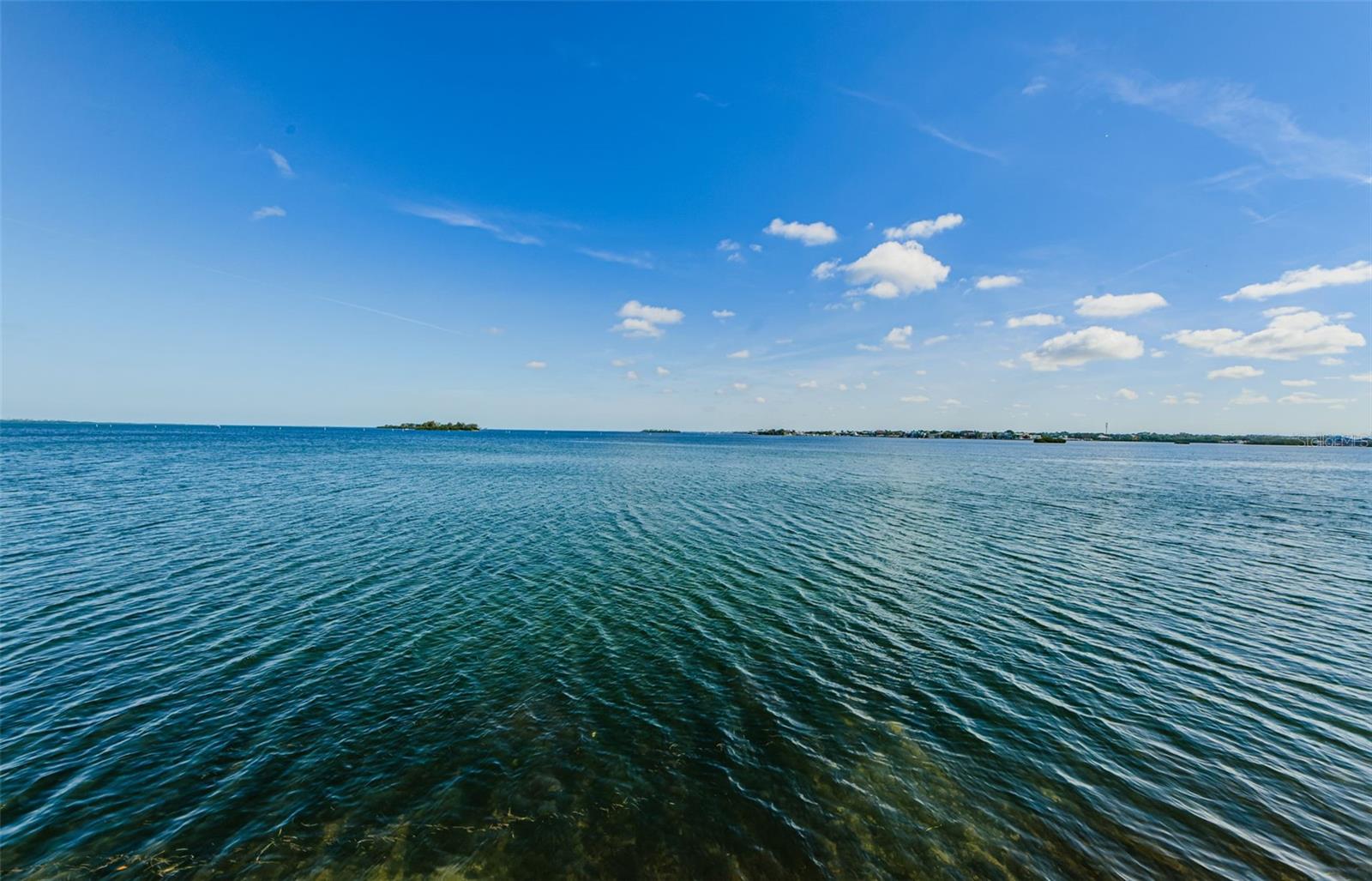 , DUNEDIN, FL — photo 15