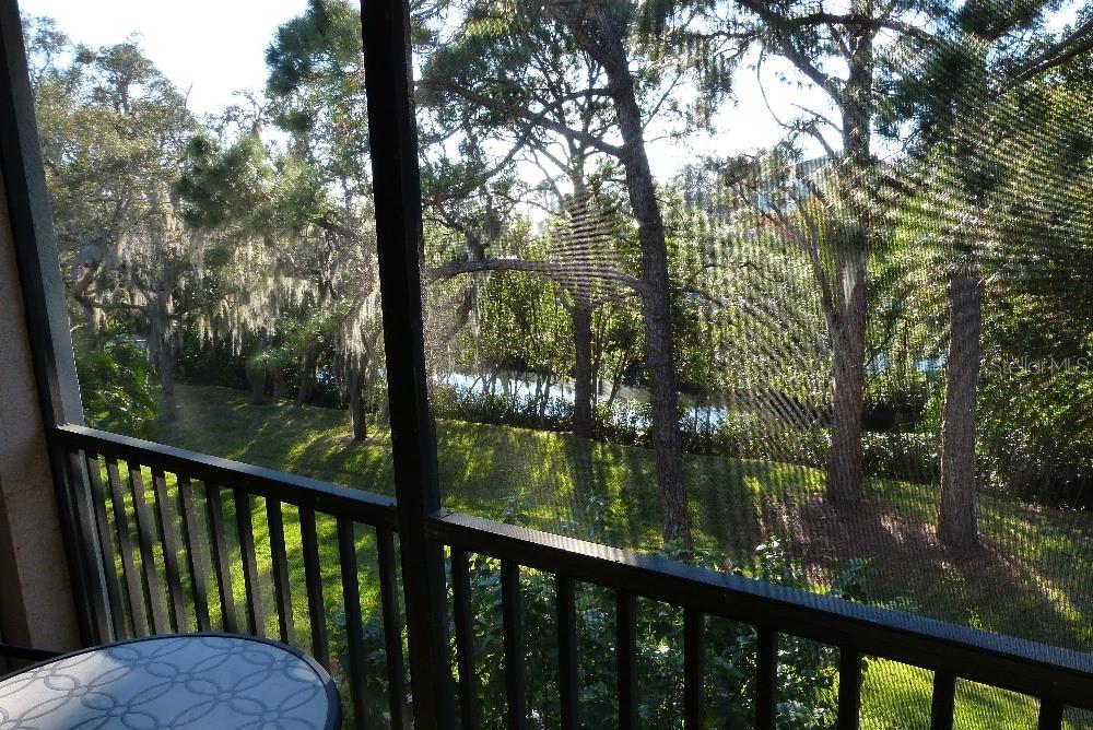 1610 SEASCAPE CIR #1610, TARPON SPRINGS, FL — photo 9