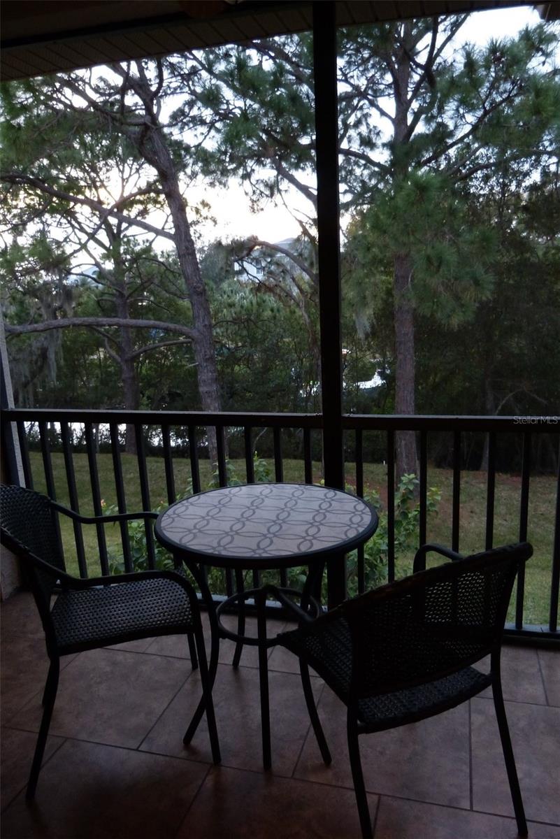 1610 SEASCAPE CIR #1610, TARPON SPRINGS, FL — photo 10