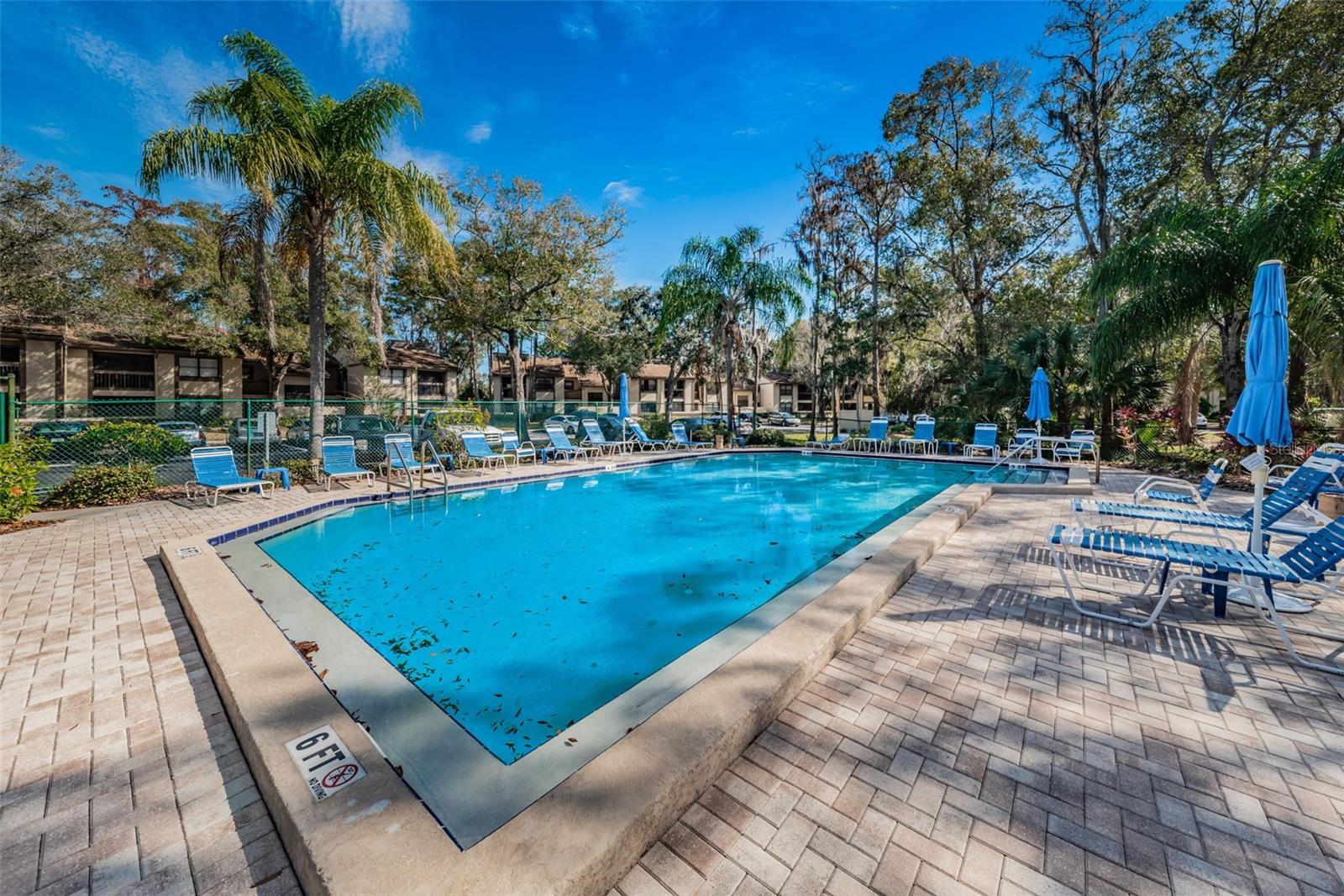 207 WOODLAKE WYNDE #207, OLDSMAR, FL — photo 5