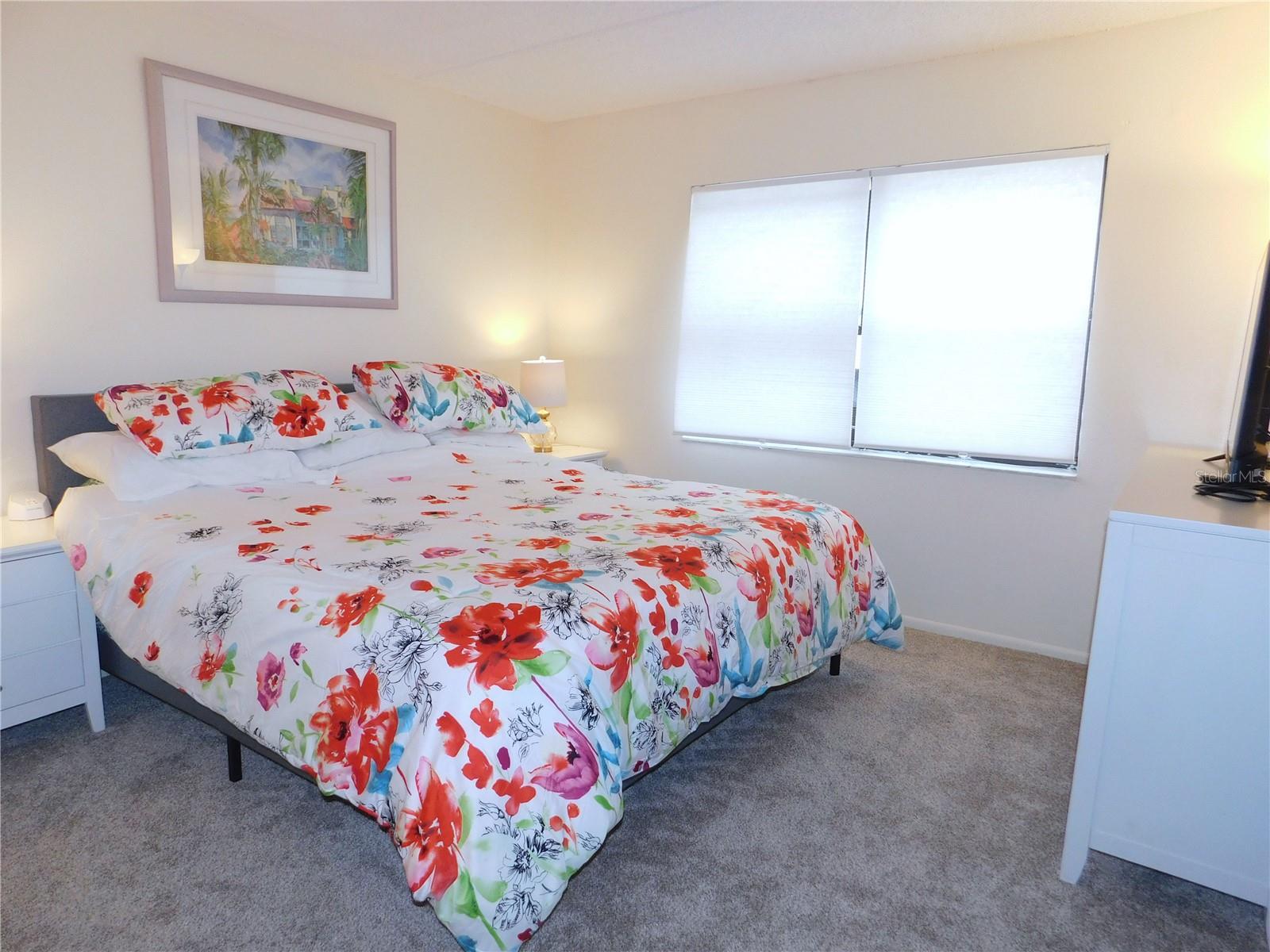 207 WOODLAKE WYNDE #207, OLDSMAR, FL — photo 19