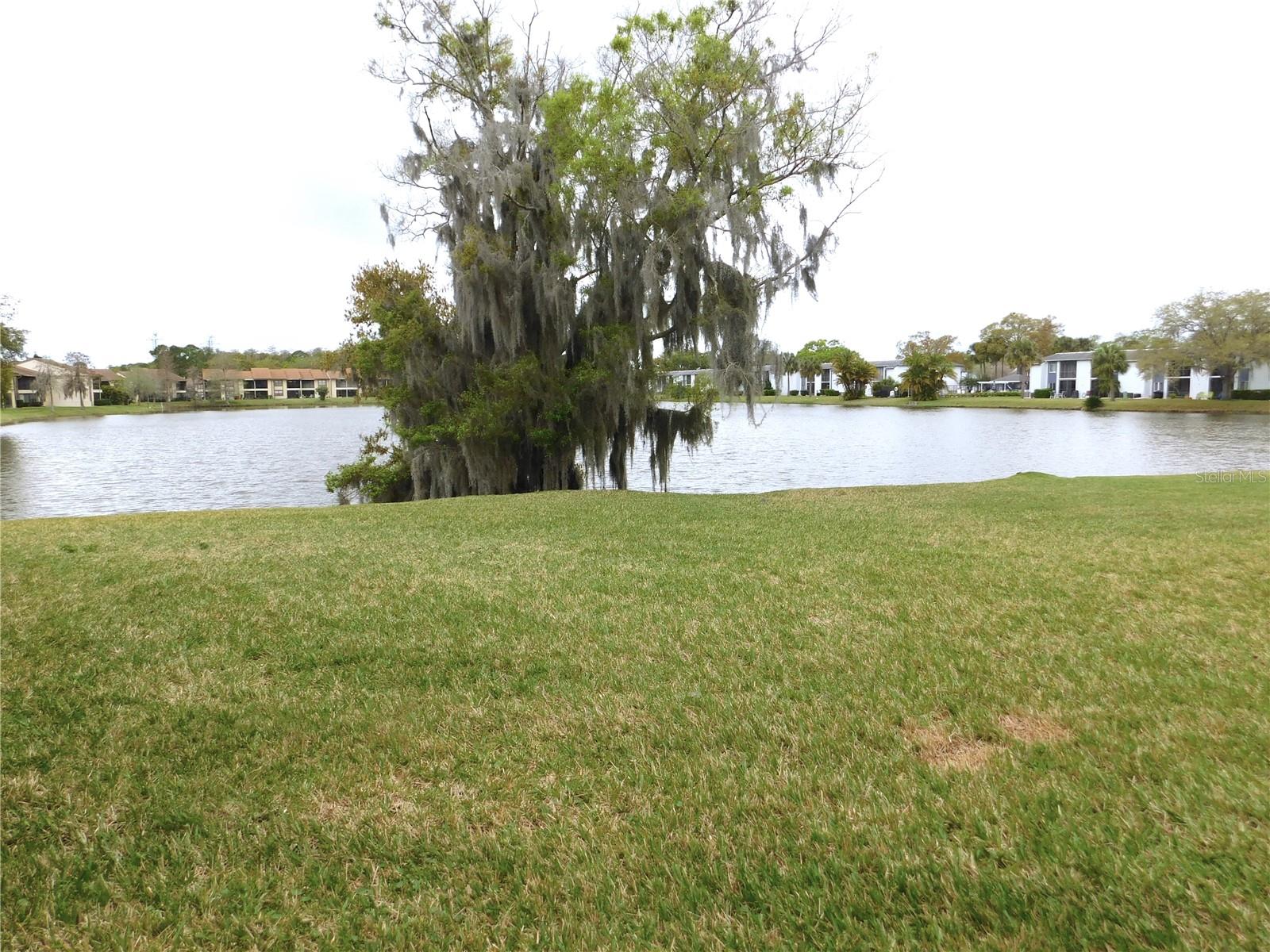 207 WOODLAKE WYNDE #207, OLDSMAR, FL — photo 22