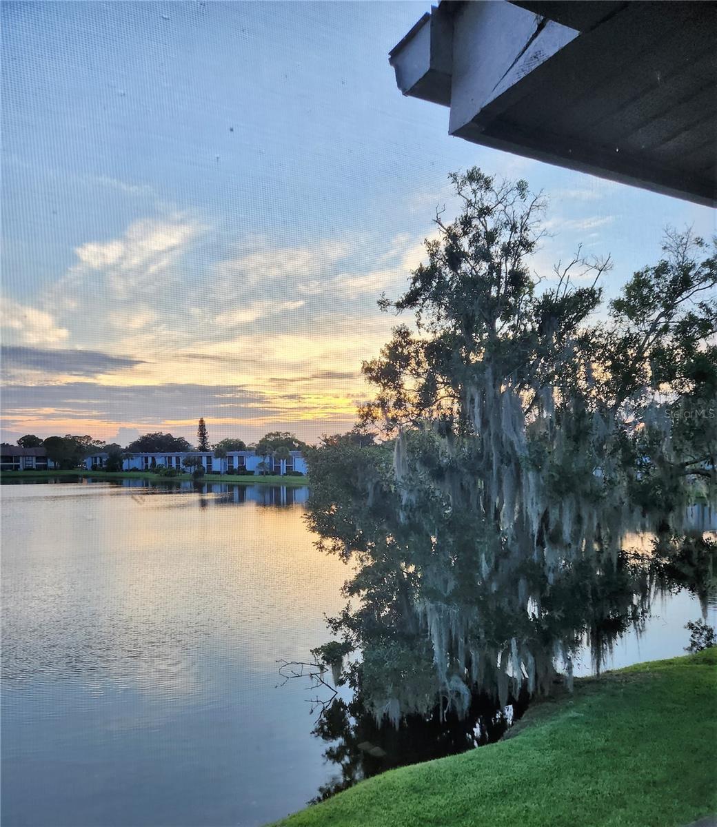 207 WOODLAKE WYNDE #207, OLDSMAR, FL — photo 29