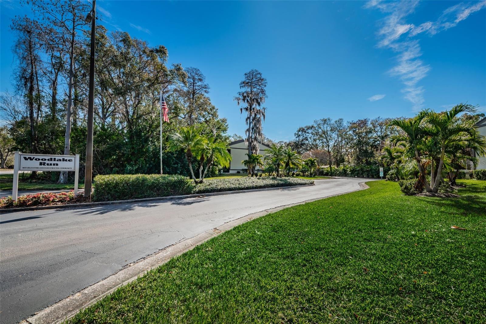 207 WOODLAKE WYNDE #207, OLDSMAR, FL — photo 31