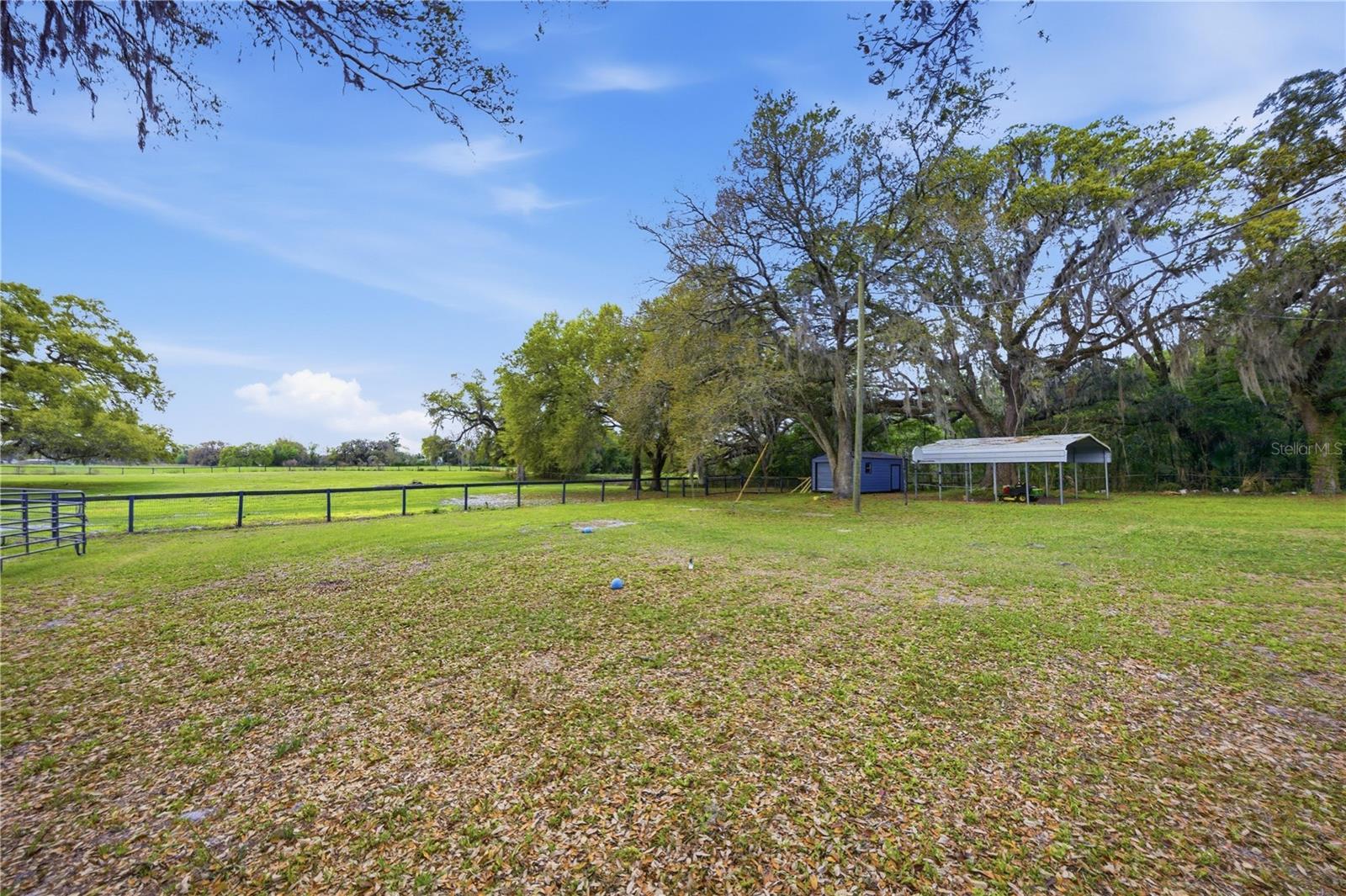 18850 SE 12TH LN, WILLISTON, FL — photo 32