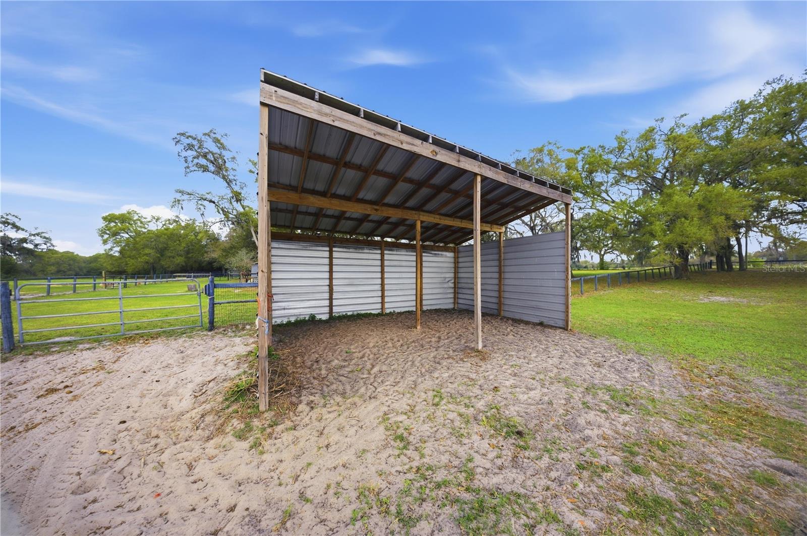 18850 SE 12TH LN, WILLISTON, FL — photo 43