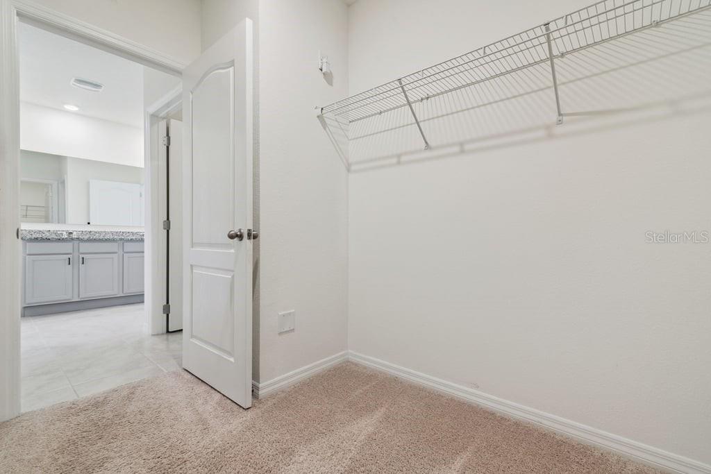 5235 MAHOGANY DR, MOUNT DORA, FL — photo 58