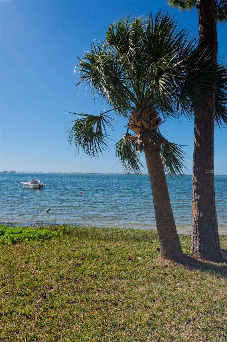 2700 BAYSHORE BLVD #6107, DUNEDIN, FL — photo 39