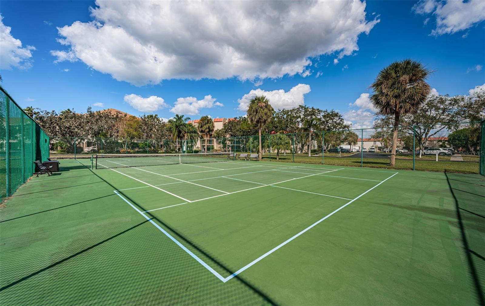 2700 BAYSHORE BLVD #6107, DUNEDIN, FL — photo 47