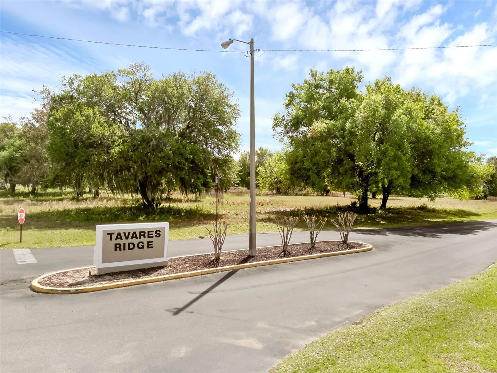 30213 TAVARES RIDGE BLVD #30213, TAVARES, FL — photo 33