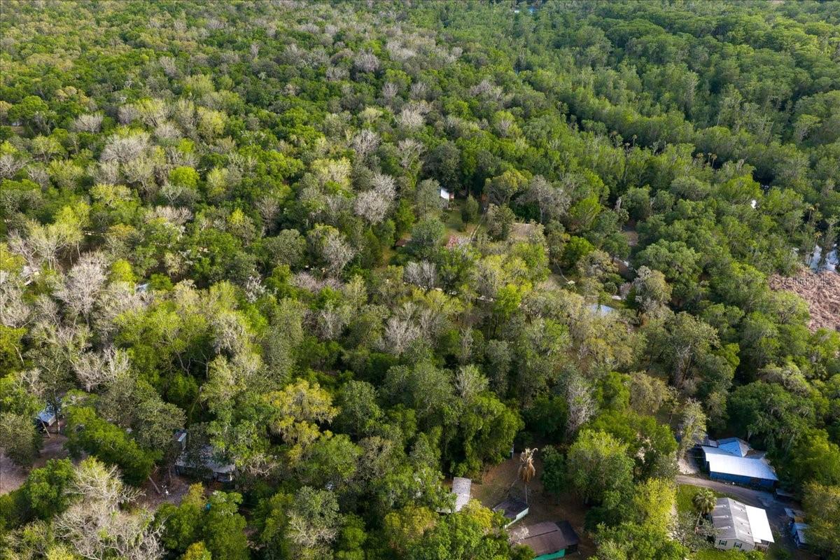 TBD NE 189TH ST, FORT MC COY, FL — photo 2