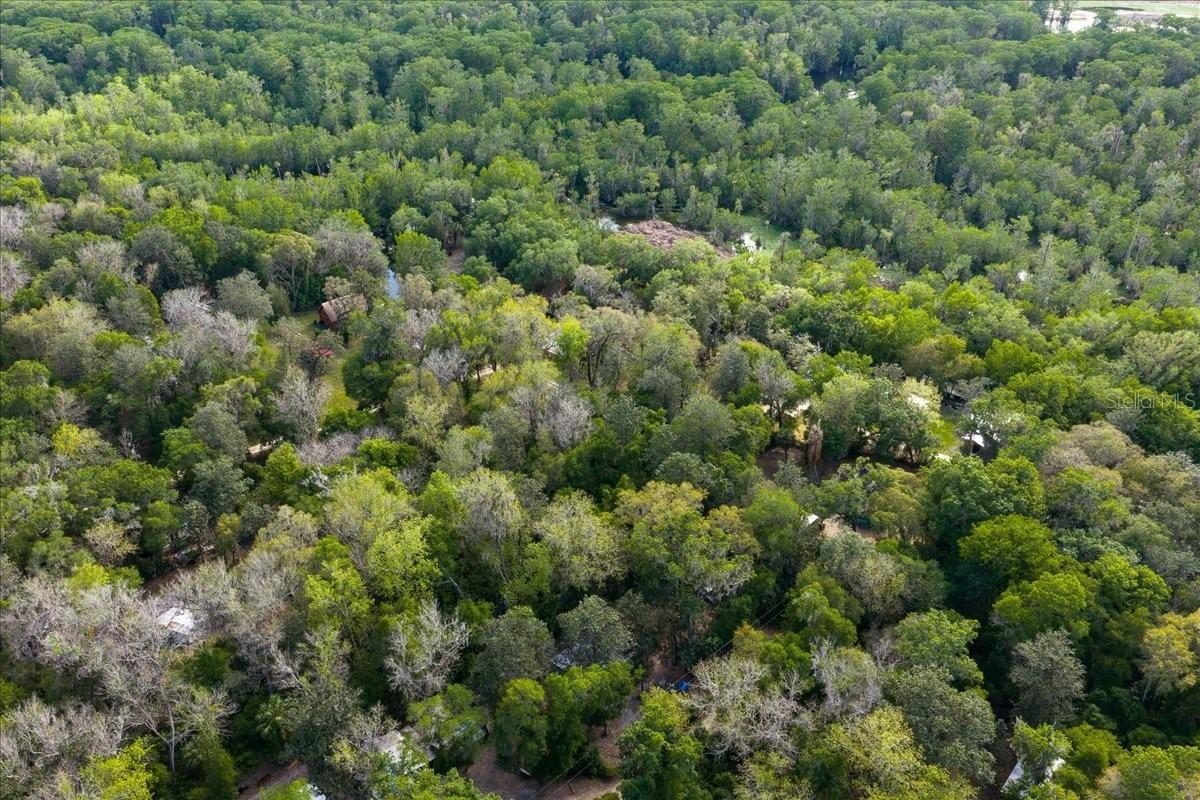 TBD NE 189TH ST, FORT MC COY, FL — photo 4