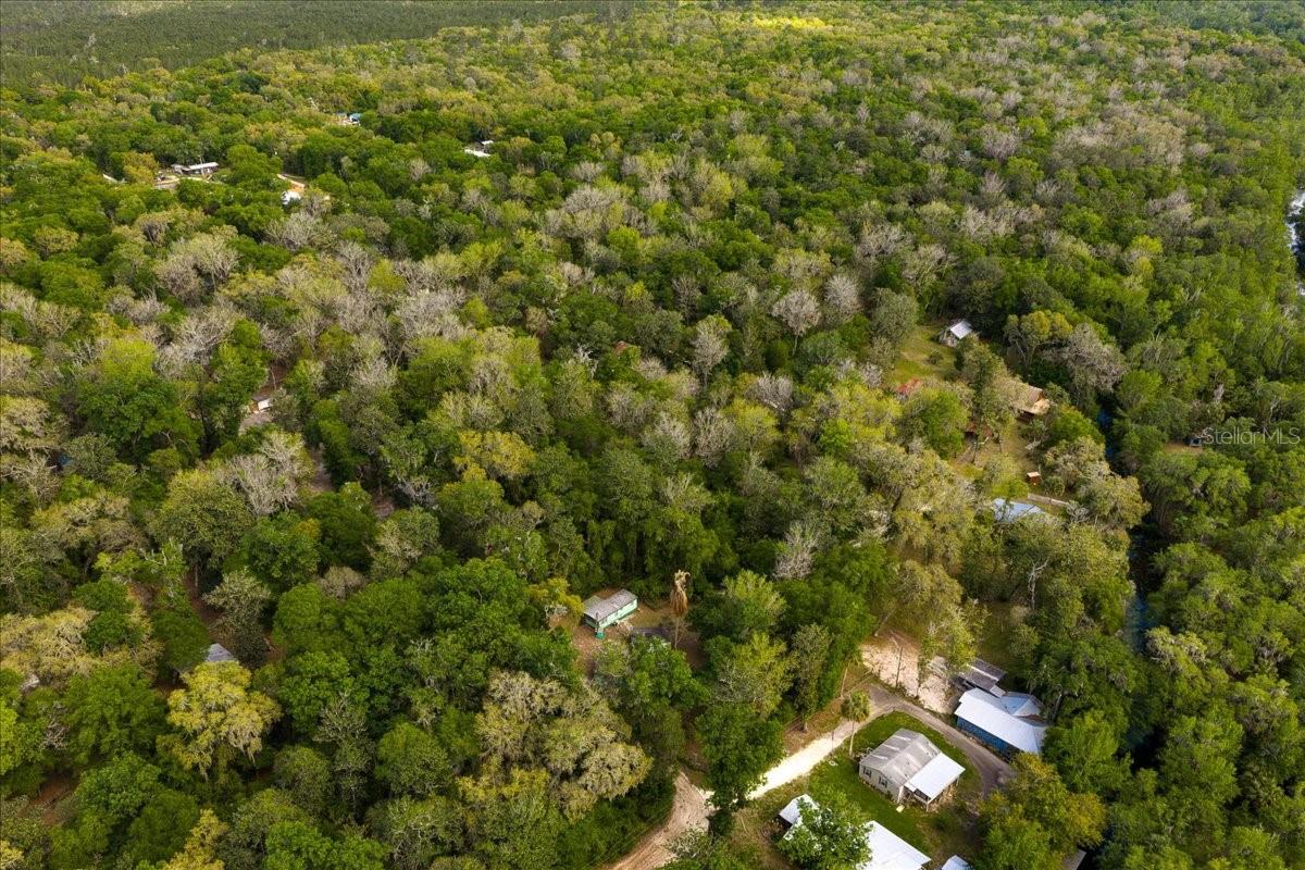 TBD NE 189TH ST, FORT MC COY, FL — photo 15