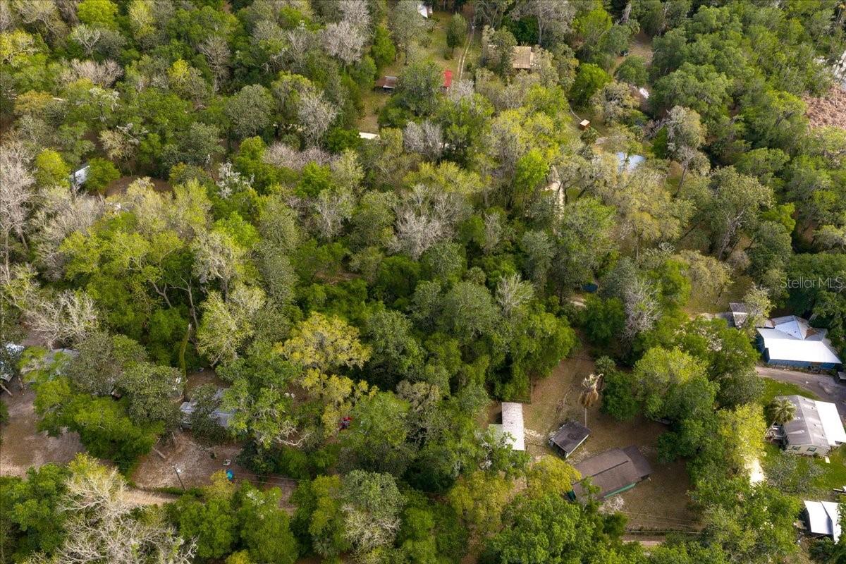 TBD NE 189TH ST, FORT MC COY, FL — photo 16
