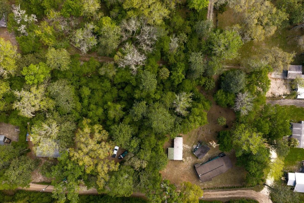 TBD NE 189TH ST, FORT MC COY, FL — photo 17