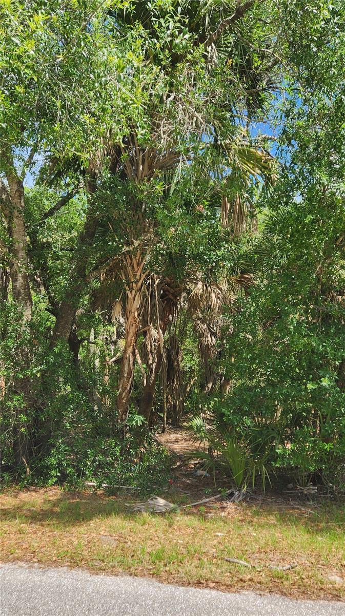 23190 GLEN AVE, PUNTA GORDA, FL — photo 2