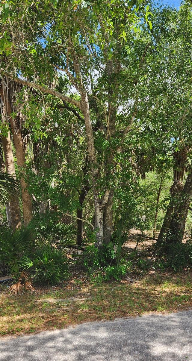 23190 GLEN AVE, PUNTA GORDA, FL — photo 3