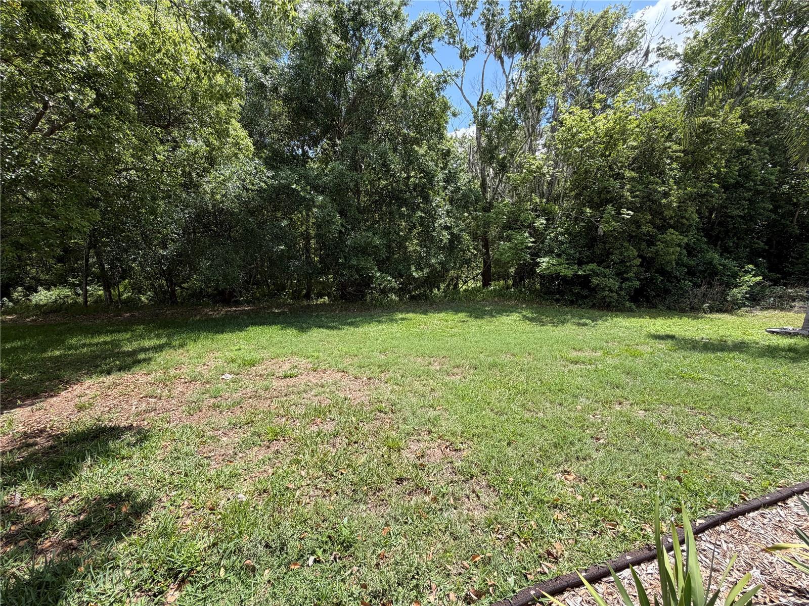 1616 KINSMERE DR, TRINITY, FL — photo 26