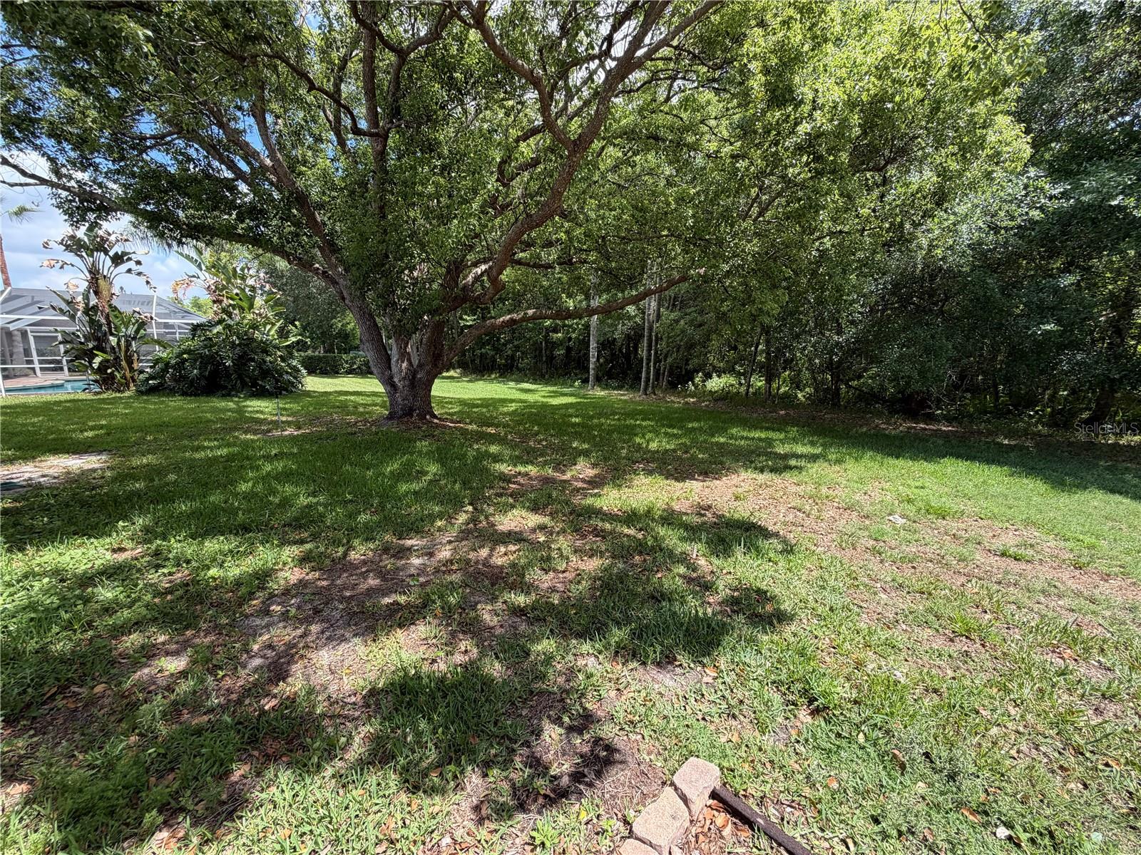 1616 KINSMERE DR, TRINITY, FL — photo 27