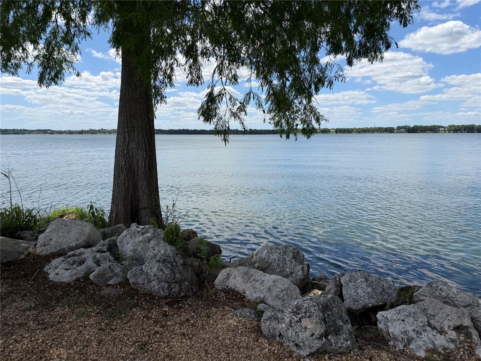 12322 STONELAKE RANCH BLVD, THONOTOSASSA, FL — photo 7