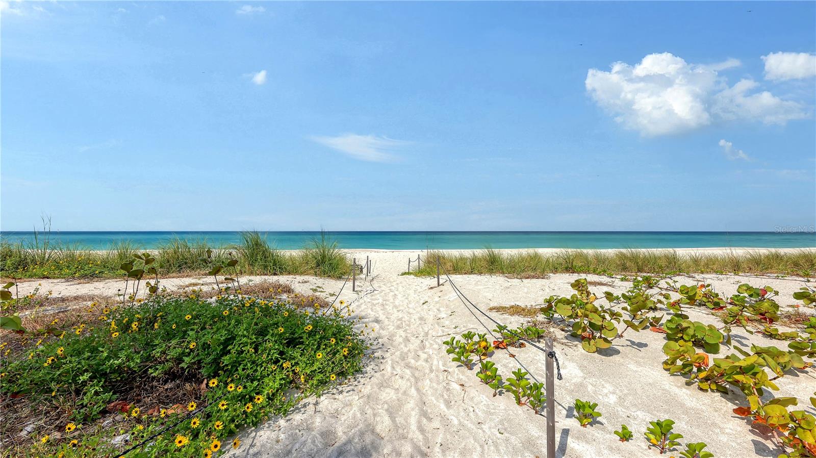 4825 GULF OF MEXICO DR #504, LONGBOAT KEY, FL — photo 28