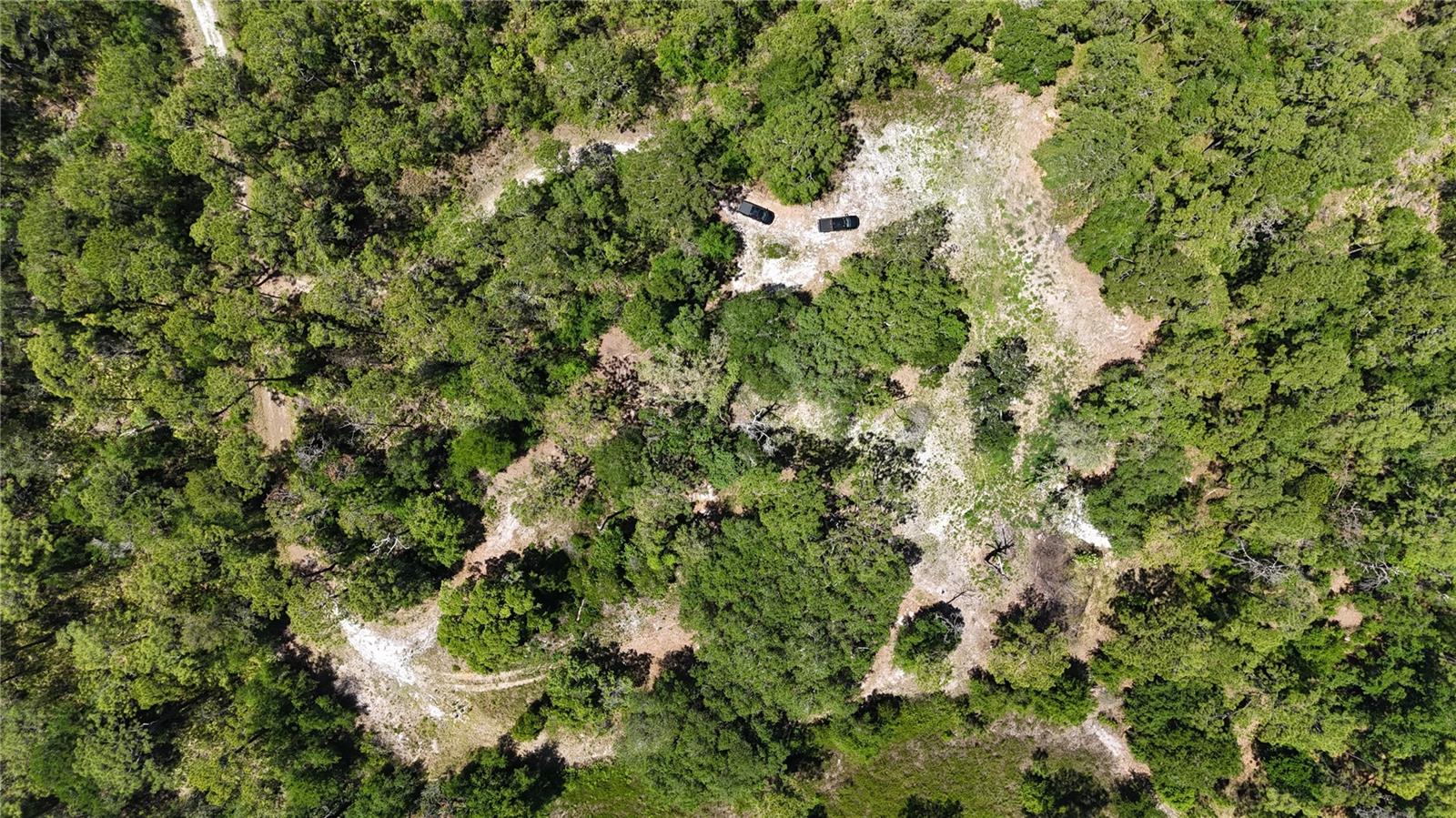 9121 FLORIDA BOYS RANCH RD, CLERMONT, FL — photo 2