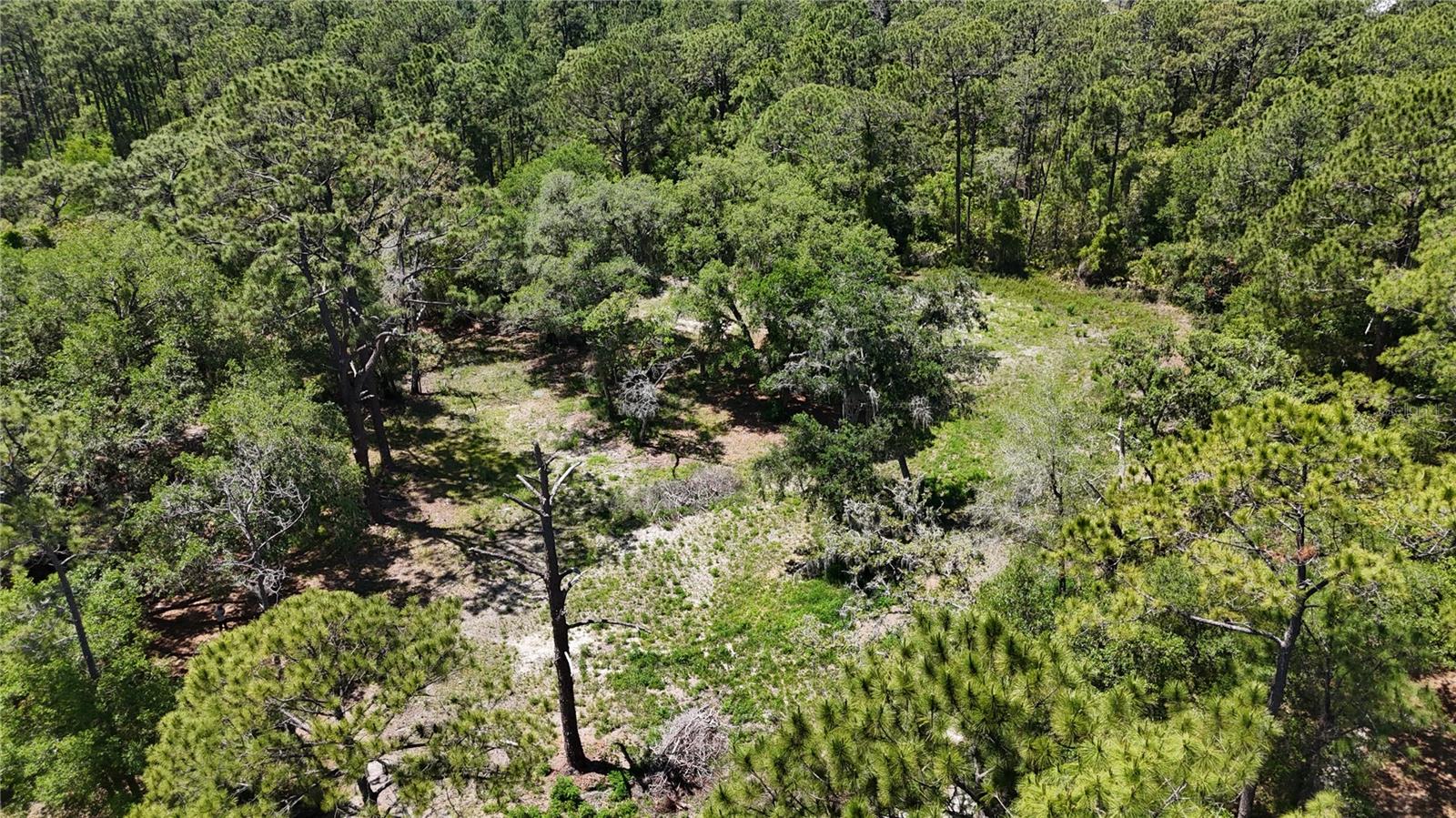 9121 FLORIDA BOYS RANCH RD, CLERMONT, FL — photo 3