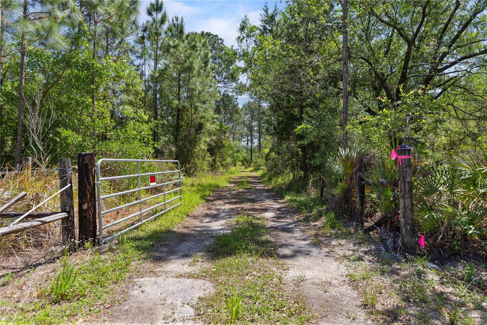 9121 FLORIDA BOYS RANCH RD, CLERMONT, FL — photo 4